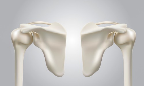 precise-medical-3d-images-of-human-shoulder-bones-picture-id1126407775